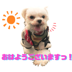 RCK_20260515231227