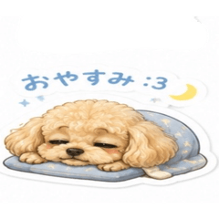si_20260515231947