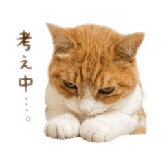 nyan_20260515222702