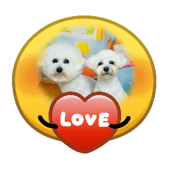 mimipin_20260515224245