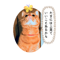 ki_20260515232115