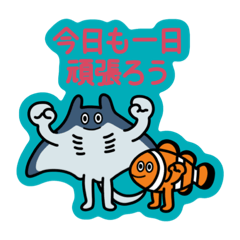 Here are a manta ray and a clownfish.