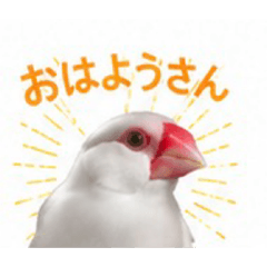 minami_20260515224143
