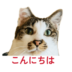 m_20260515232221