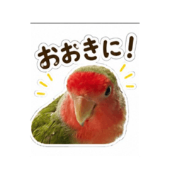 minami_20260515223928