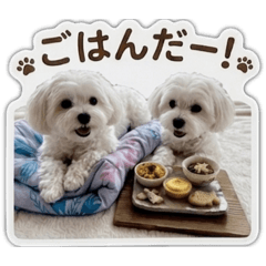 moffmaru