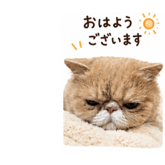 mugitan_20260515233211