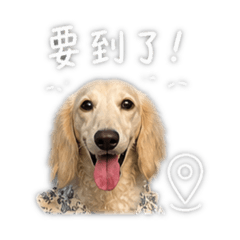 我是露比