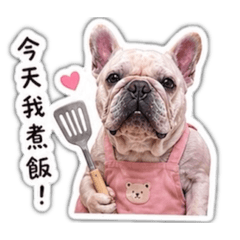 鬥鬥的居家小劇場