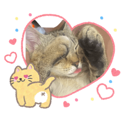 可愛ㄉLucky