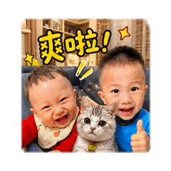 三個寶❤️-（貼圖日常）