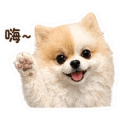 劉豆霞2