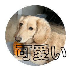 Ken_20260515235044