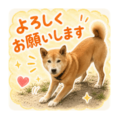 chanY_20260515234841