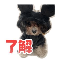 Nodoka_20260515235149