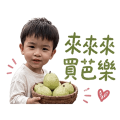 蕭家現採芭樂