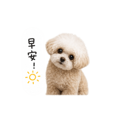 店長小妮2