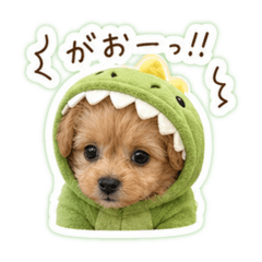 Puppy Mugi's loose conversation.