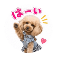 maron_20260515224730