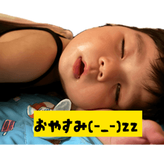 mimimi_20260516002942