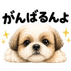miki_20260516003954
