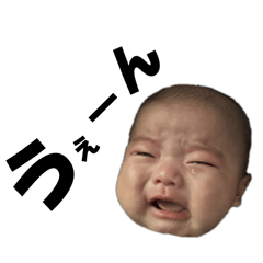 non_20260516004257