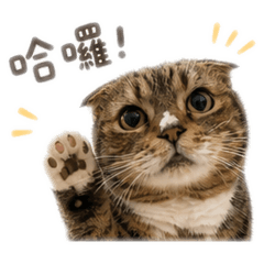 臭咪寶寶第二彈