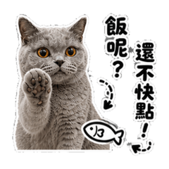 嚕小咪2