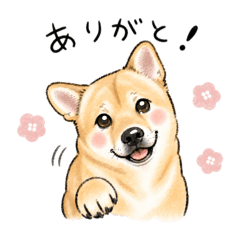 KoumeFlower