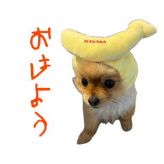 chikuwa_20260515230407