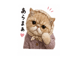 mugitan_20260515230532