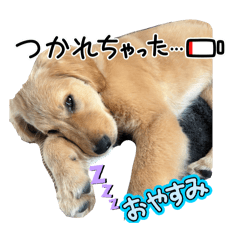 aonyan_20260516015732