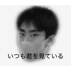 GoldTAMATAMA_20260516015250