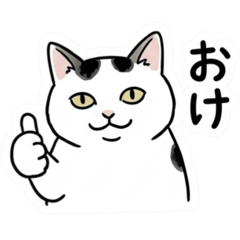 aichan_20260516020227