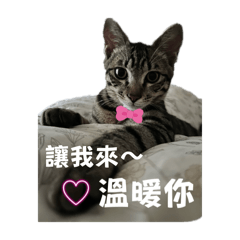 暖哥ㄉ日常