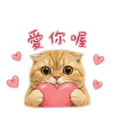 壯壯 is so cute 2