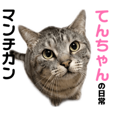 NAO_20260516111042