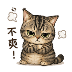 短腿喵喵～嚇虎誰！萌萌噠～（情緒篇）