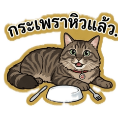 My_20260504230912