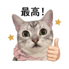 uuuu_20260505222133