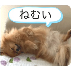 anri_20260515195702