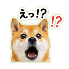 Tooook_20260515202005