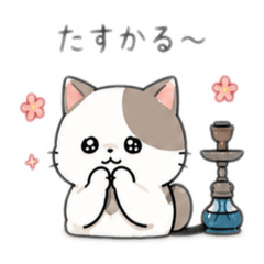 shopimaru_20260515203730