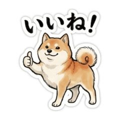 Cute Mochi Shiba