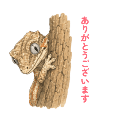 tantan_20260515221650