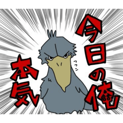 sunao_20260515225309