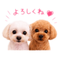pink_20260515232453