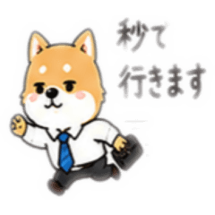 zikoryuu_20260515233917
