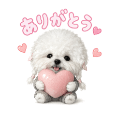 yunichan_20260516005759