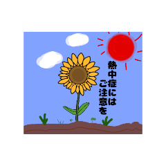 tomatoboy_20260516005718